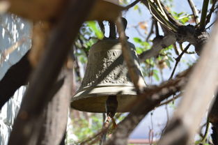 乐鱼电竞在线平台-NBA球员转会市场动态，nba转会名单