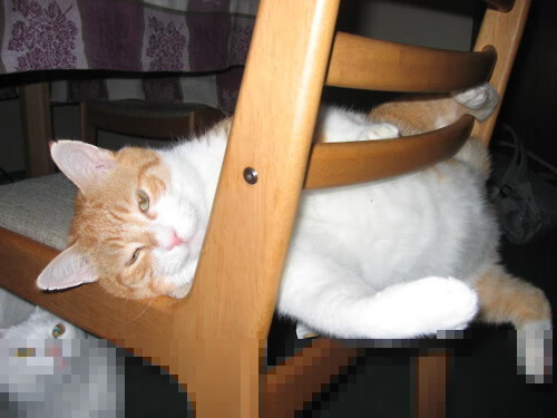 乐鱼（LEYU）体育-NBA球队季后赛经验分享，nba季后赛规则大全2021