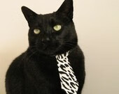 “舞动人生!运动舞蹈让金牛区城北体育馆成为舞者展示实力的绝佳舞台”