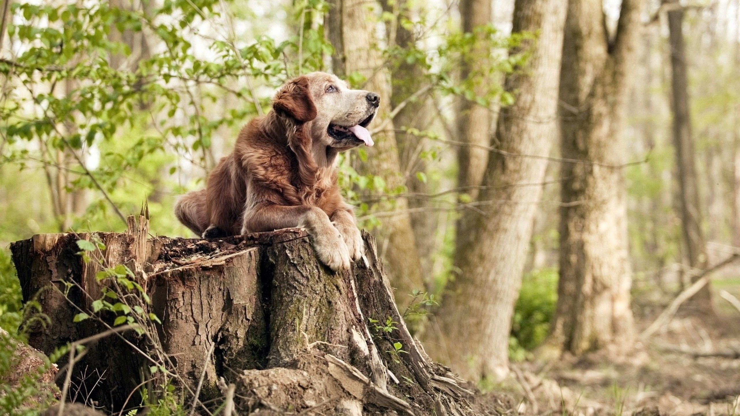 体育新闻中心推动基层体育赛事报道机制建设，体育赛事新闻稿怎么写
