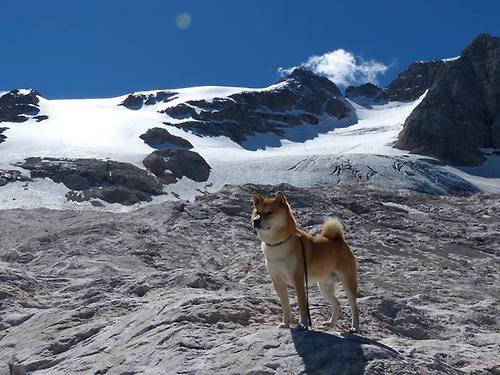 勒沃库森整体控球提升比赛掌控度，勒沃库森首发