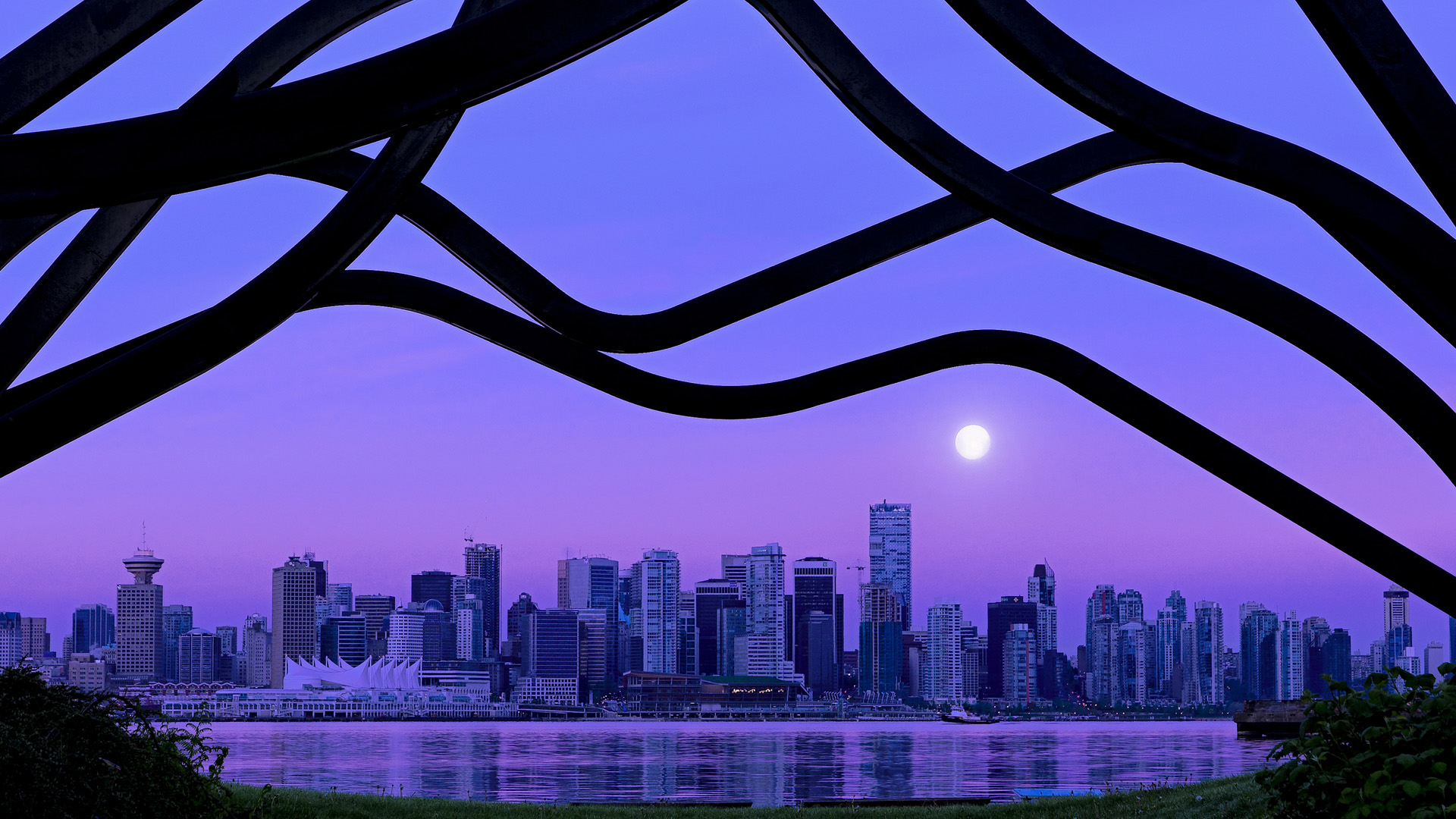 蝶泳转身效率助力选手成绩提升,蝶泳转体