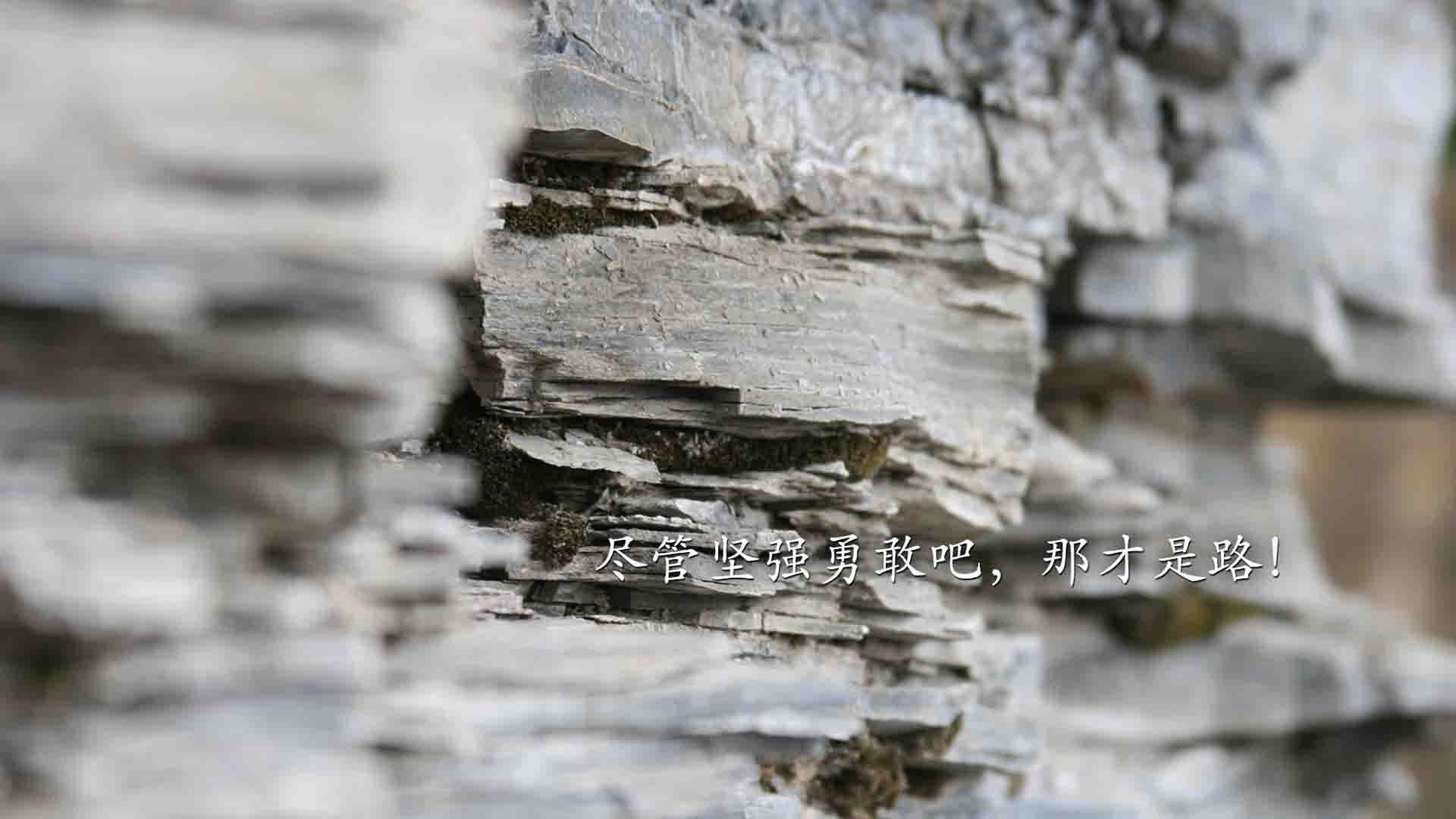 凯尔特人新赛季首次全队合练顺利进行,凯尔特人队友