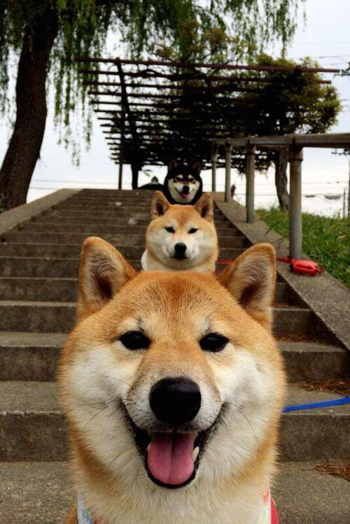 中国篮球是否推动设立球员科技支持实验室,中国篮球人才培养