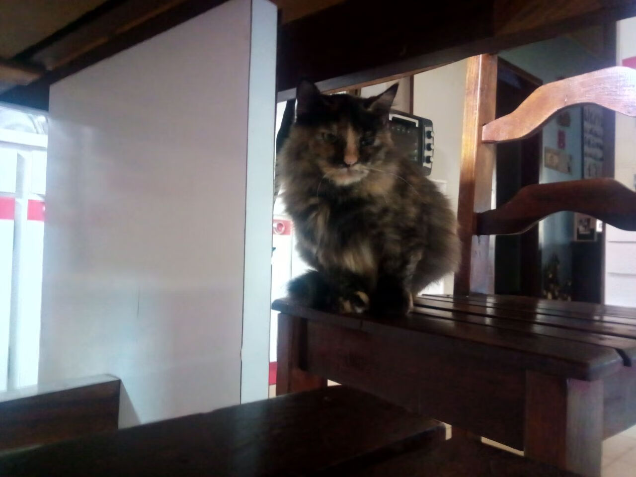 中国足球赞助商参与度与回报率评估，中国足球赞助商排行榜